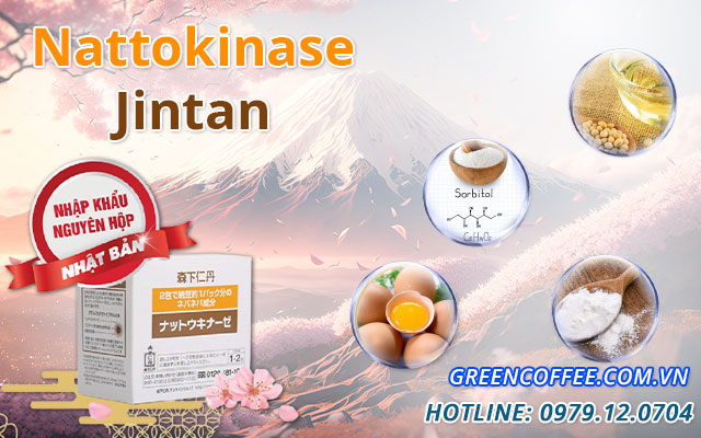 nattokinase-jintan-1-2