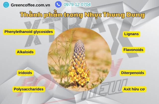 Xtramax For Men sản phẩm tăng sinh lý có chứa Nhục Thung Dung