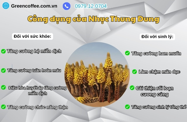 Xtramax For Men sản phẩm tăng sinh lý có chứa Nhục Thung Dung
