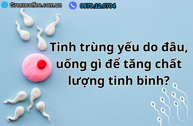 Tinh trùng yếu do đâu, uống gì để tăng chất lượng tinh binh?