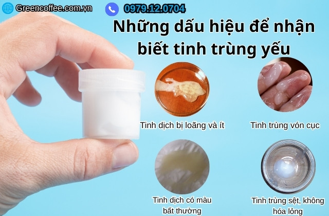 Tinh trùng yếu do đâu, uống gì để tăng chất lượng tinh binh?