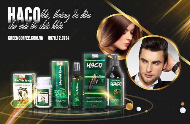 Bộ ba sản phẩm Tóc HACO hỗ trợ chắc khỏe tóc, kích thích mọc tóc, giảm gàu và khô thoáng da đầu