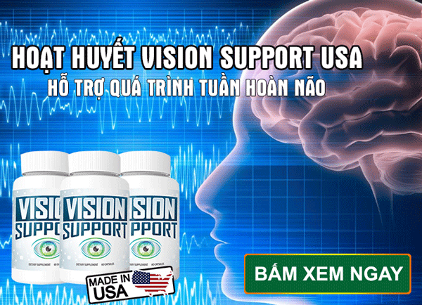 vision support